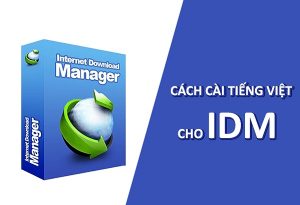 Phần mềm IDM là gì?